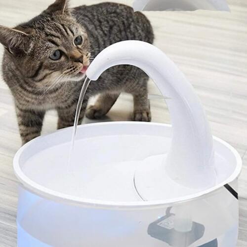 Cat Drinking Fountain