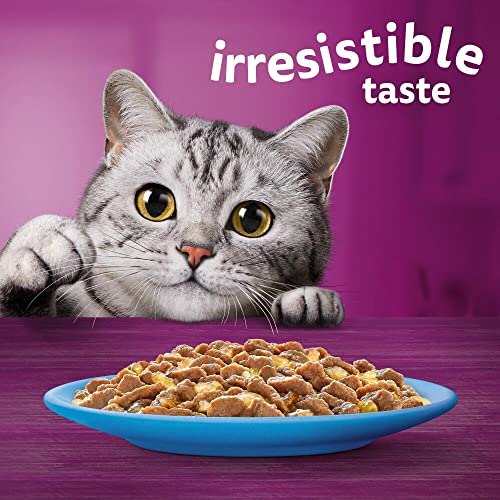 WHISKAS 1+ Adult Poultry Selection Wet Cat Food Pouches 40 x 85 g, 40 Jelly Pouches, Bulk Cat Food Megapack