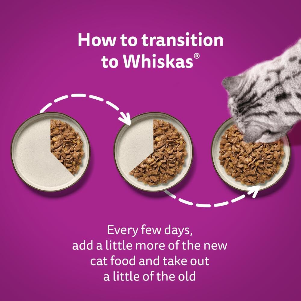 WHISKAS 1+ Adult Poultry Selection Wet Cat Food Pouches 40 x 85 g, 40 Jelly Pouches, Bulk Cat Food Megapack