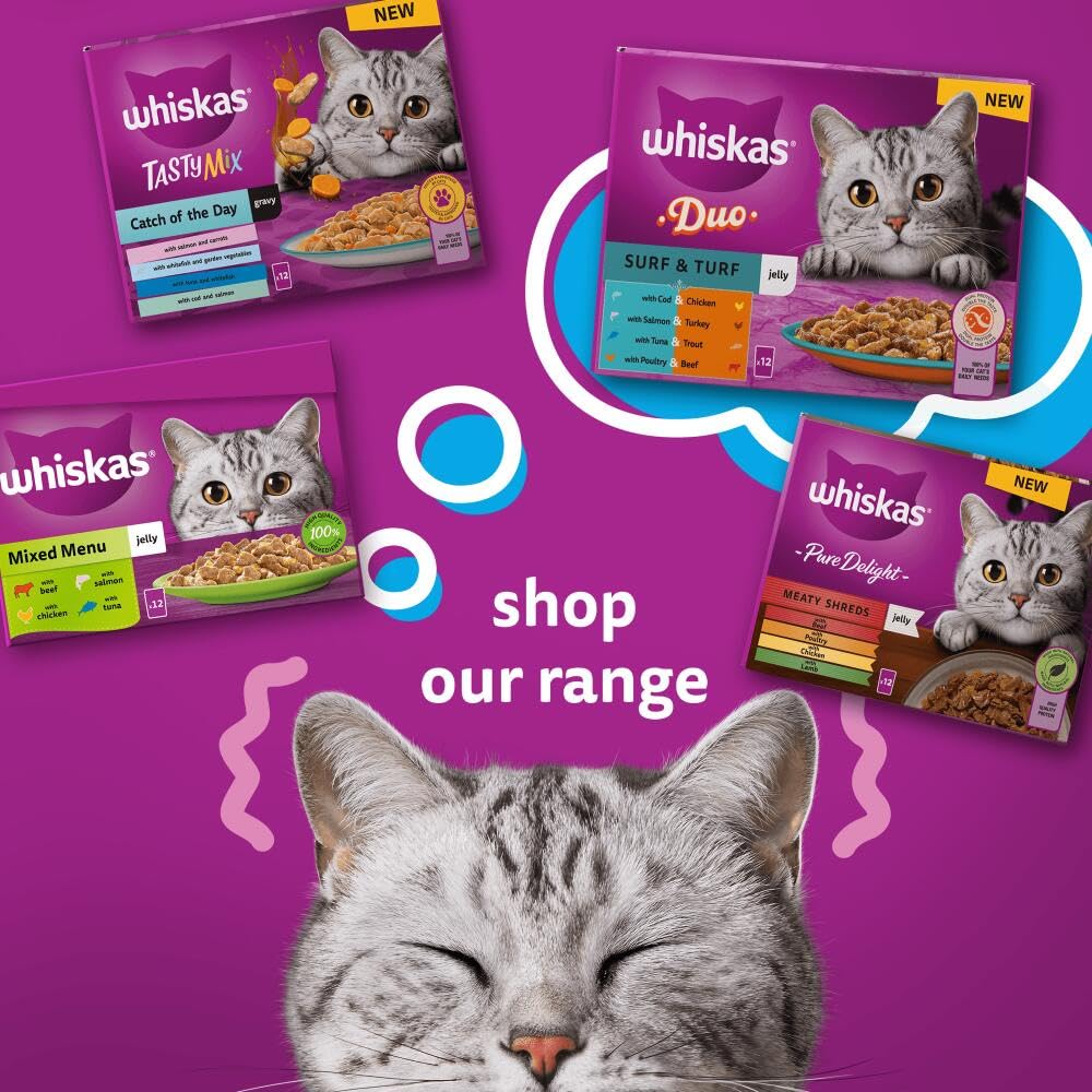 WHISKAS 1+ Adult Poultry Selection Wet Cat Food Pouches 40 x 85 g, 40 Jelly Pouches, Bulk Cat Food Megapack