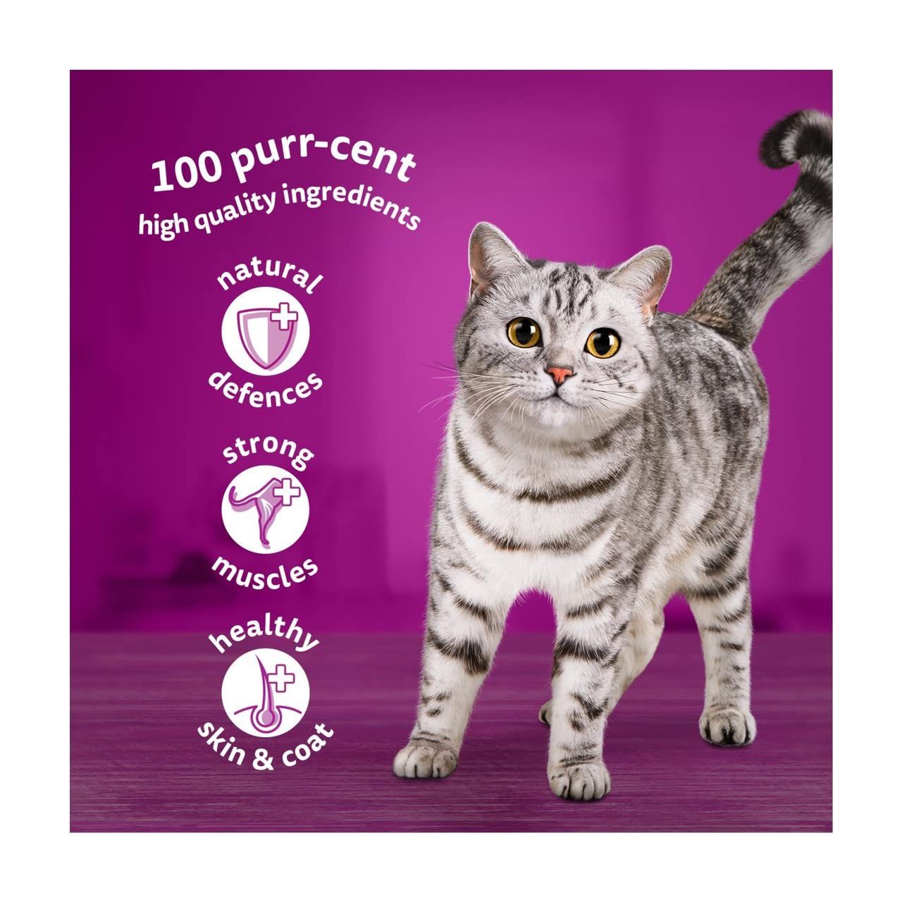 WHISKAS 1+ Adult Poultry Selection Wet Cat Food Pouches 40 x 85 g, 40 Jelly Pouches, Bulk Cat Food Megapack