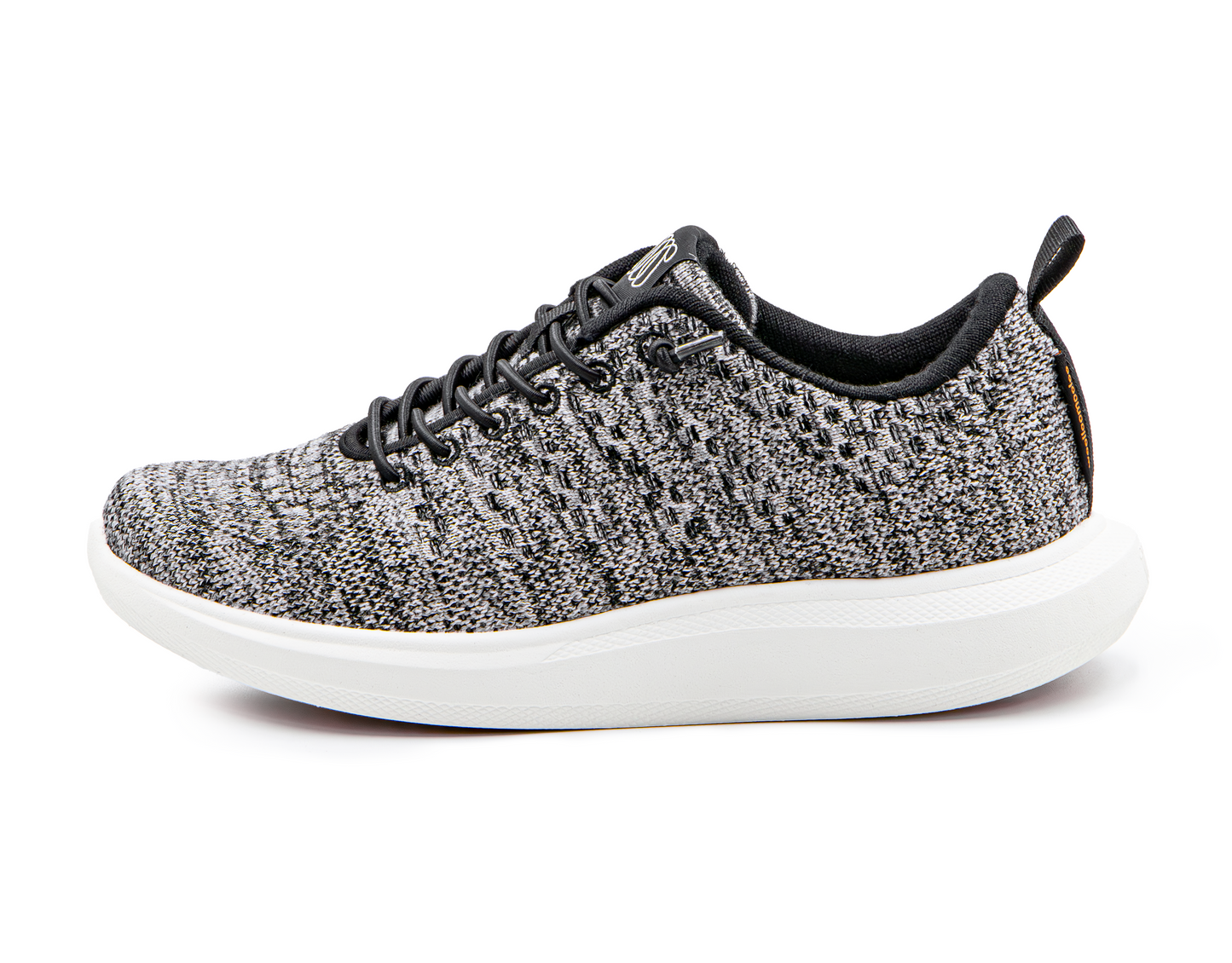 Coogee Multi Merino Wool Sneaker