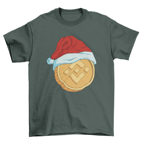 Crypto Finance Currency Coin Money Christmas hat Holiday Seasonal