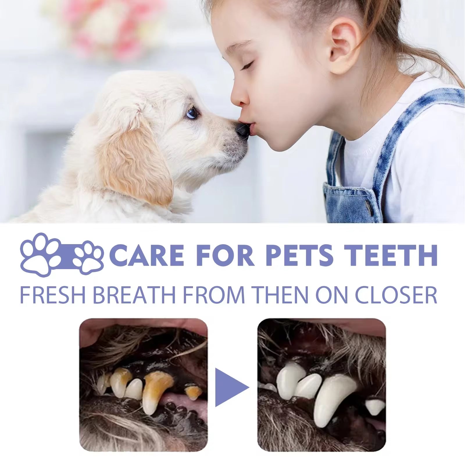 50Ml Pet Oral Cleanse Spray Dogs Cats Teeth Clean Deodorant Prevent Calculus Remove Kitten Bad Breath Pet Supplies