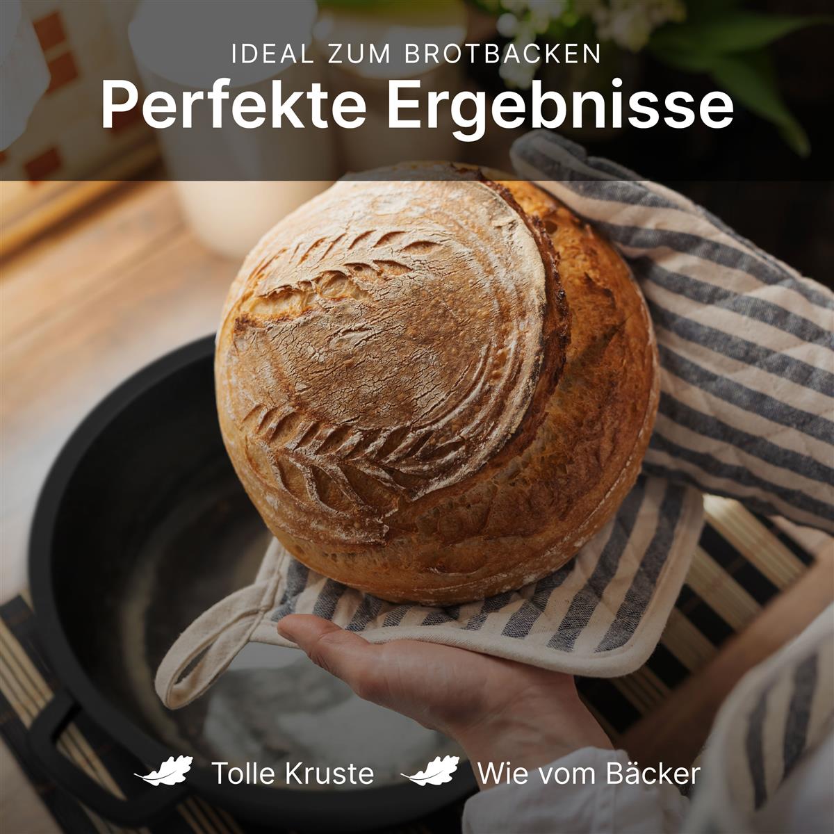 Oakfire Gusseisen Topf 2in1 mit Pfanne, Ø26cm, Casserole, mit Anti-Haft Patina, 4Elements, SpreadHeat zum Kochen, Braten, Schmoren, Brot backen, Garen - Tolle Aromaentfaltung