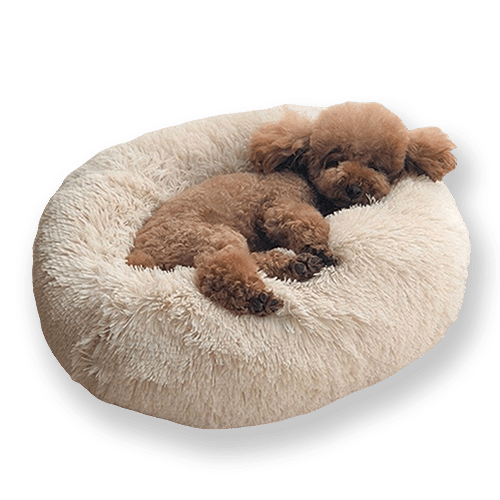 machine washable dog beds calming