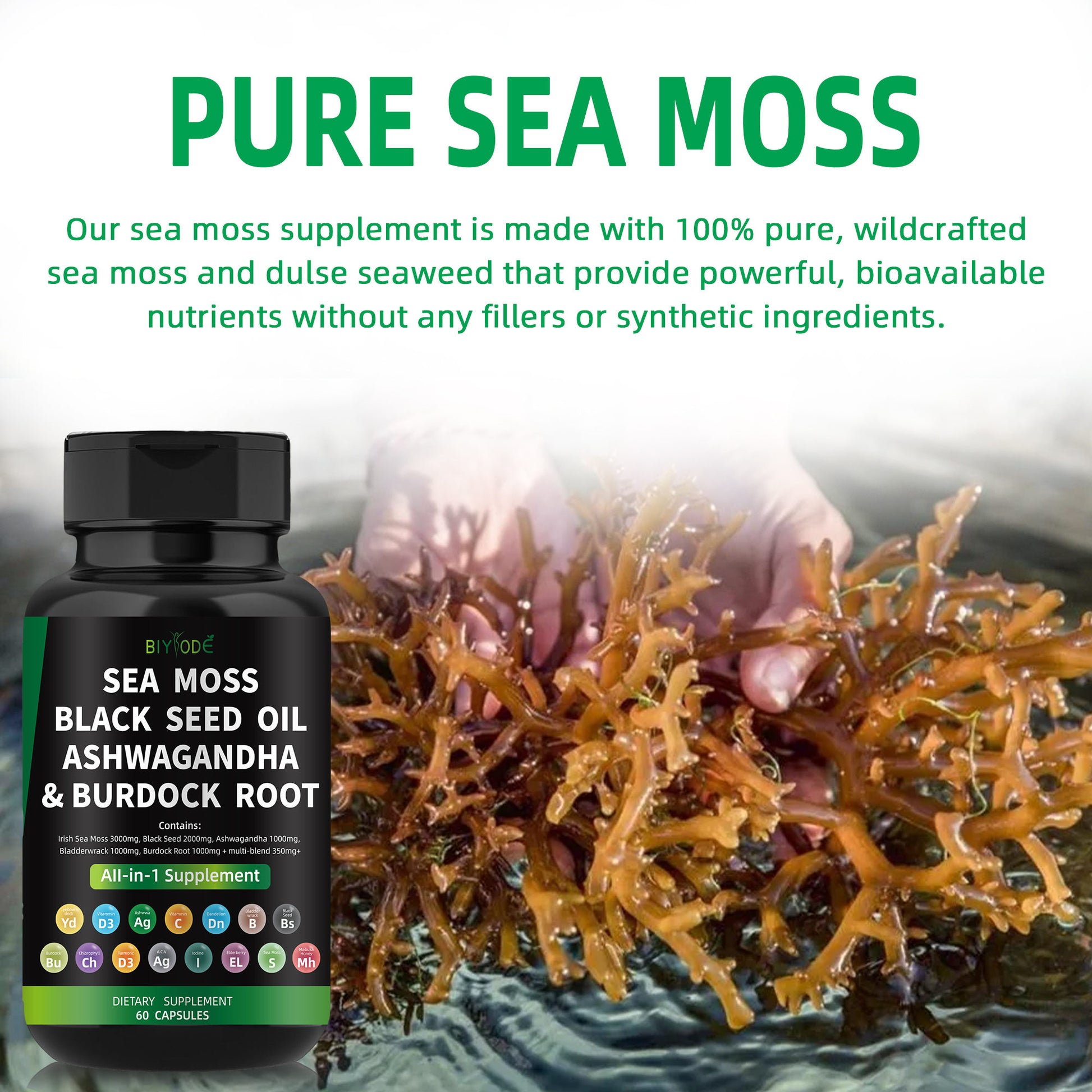 Seaweed Capsules In Stock GMP Factory Cross-border Supplier Sea Moss Capsules60 Seaweed Capsules